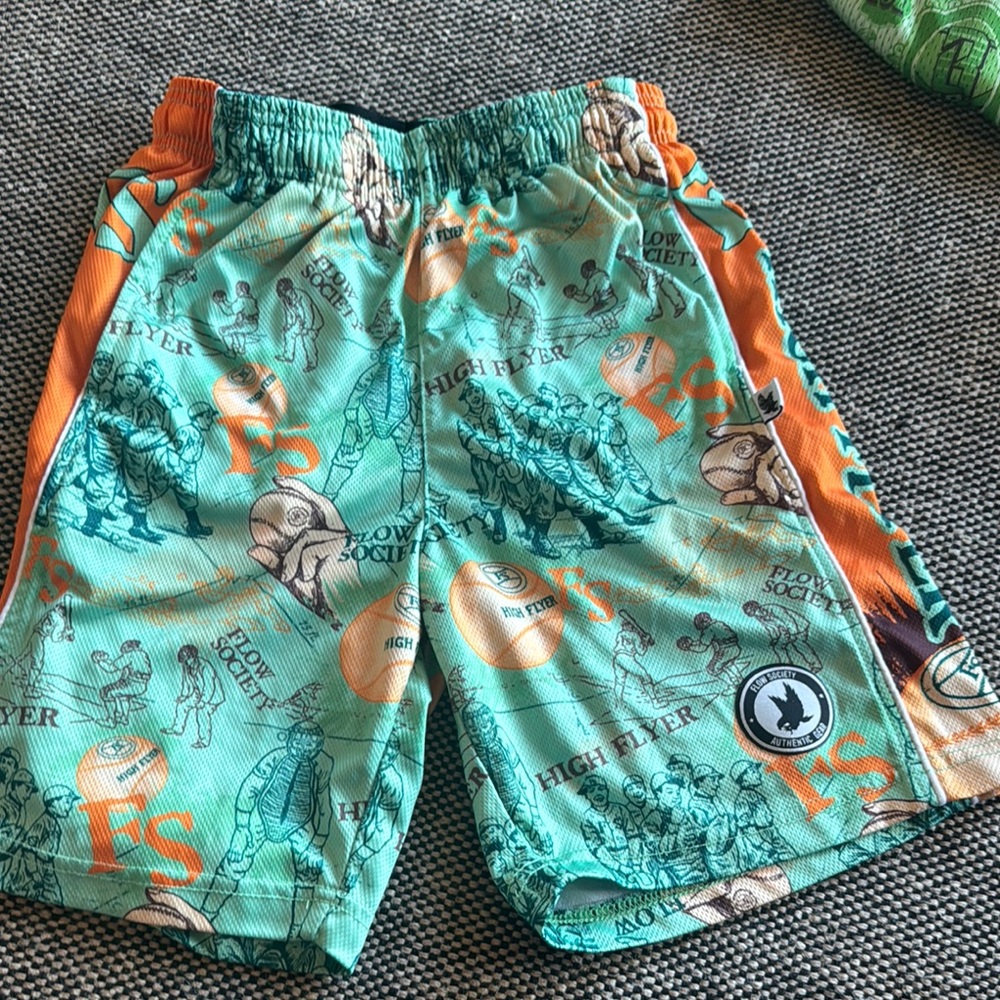 Flow society high flyer baseball shorts